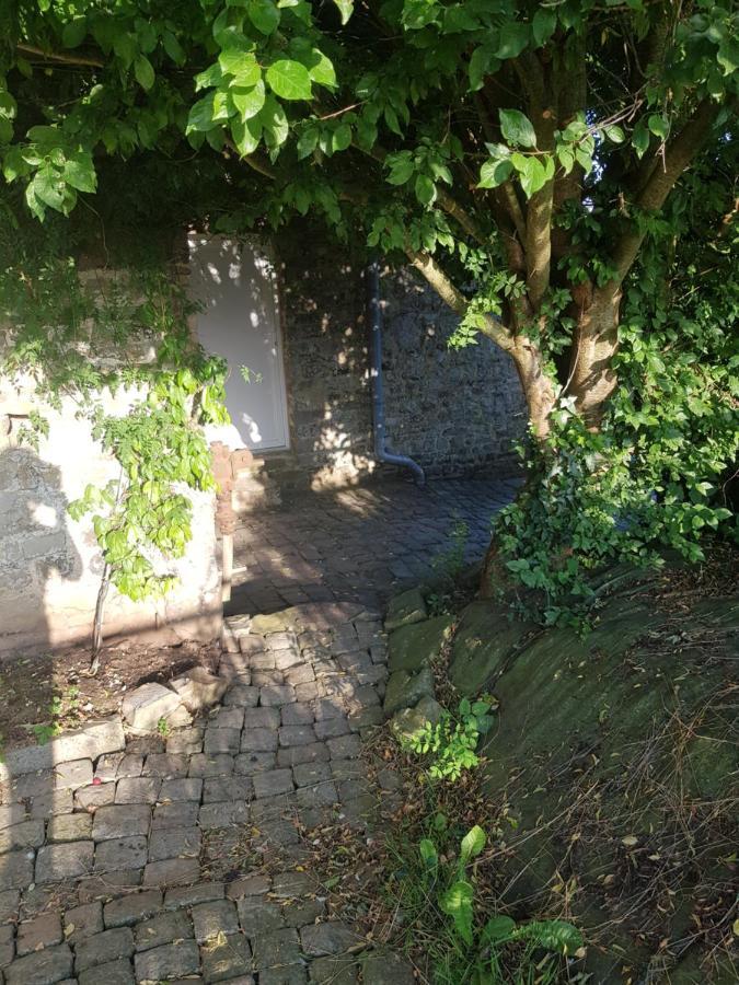 Elevage De La Hurie Saint-Nicolas-de-Pierrepont Extérieur photo